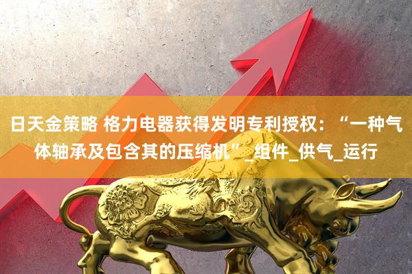 日天金策略 格力电器获得发明专利授权：“一种气体轴承及包含其的压缩机”_组件_供气_运行