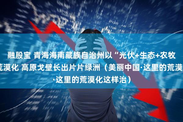 融股宝 青海海南藏族自治州以“光伏+生态+农牧业”治理荒漠化 高原戈壁长出片片绿洲(美丽中国·这里的荒漠化这样治)